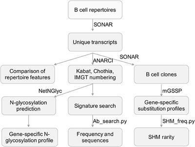 cAb-Rep: A Database of Curated Antibody Repertoires for Exploring Antibody Diversity and Predicting Antibody Prevalence